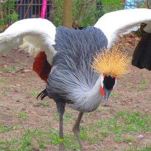 Meet your Posher, Casey